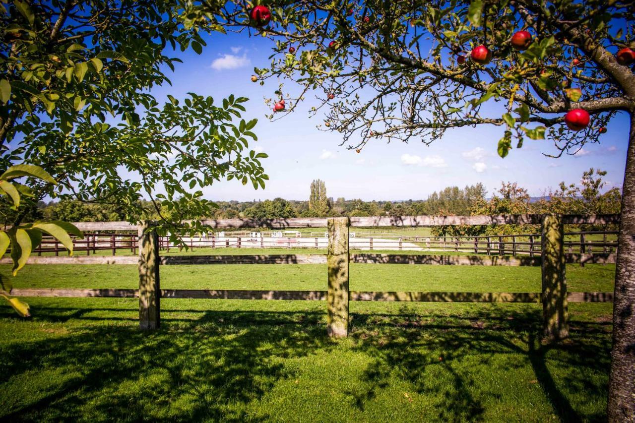 Les Maisons De Charlotte Glanville Eksteriør billede